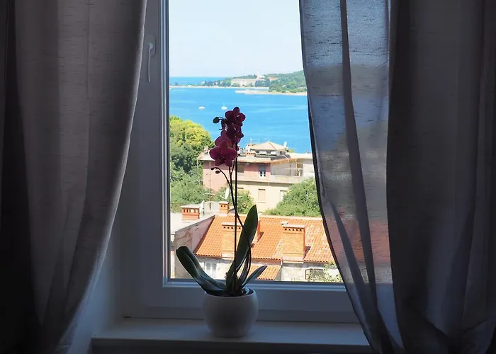 Captain Emo 아파트 *